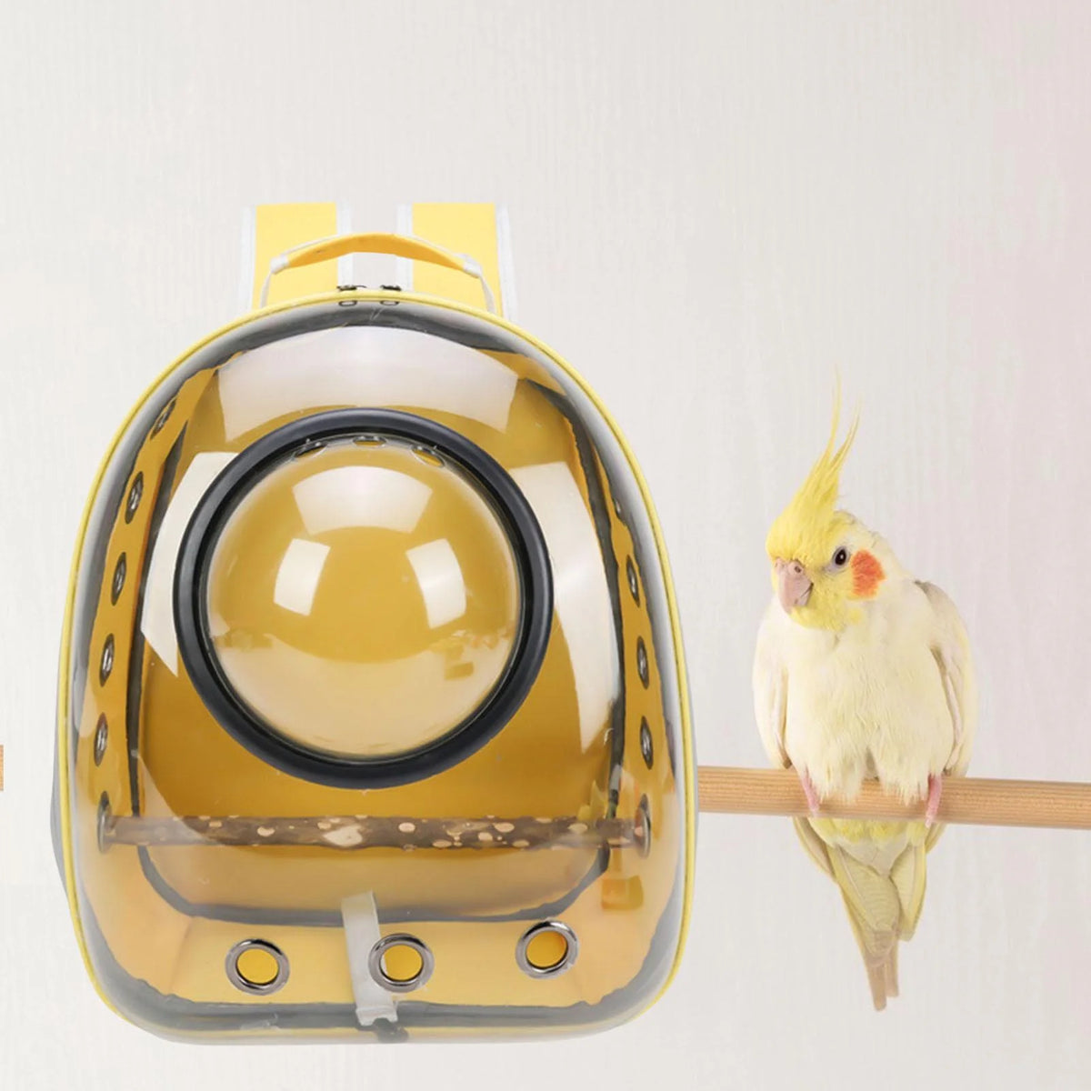Green Yellow Transparent Bird Carrier with Perch P591439