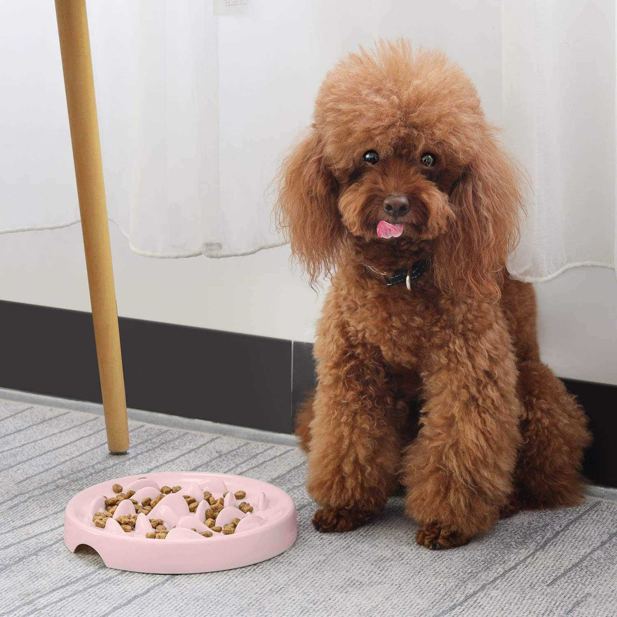 Slow Feeder Bowl for Cats and Small Dogs B9814