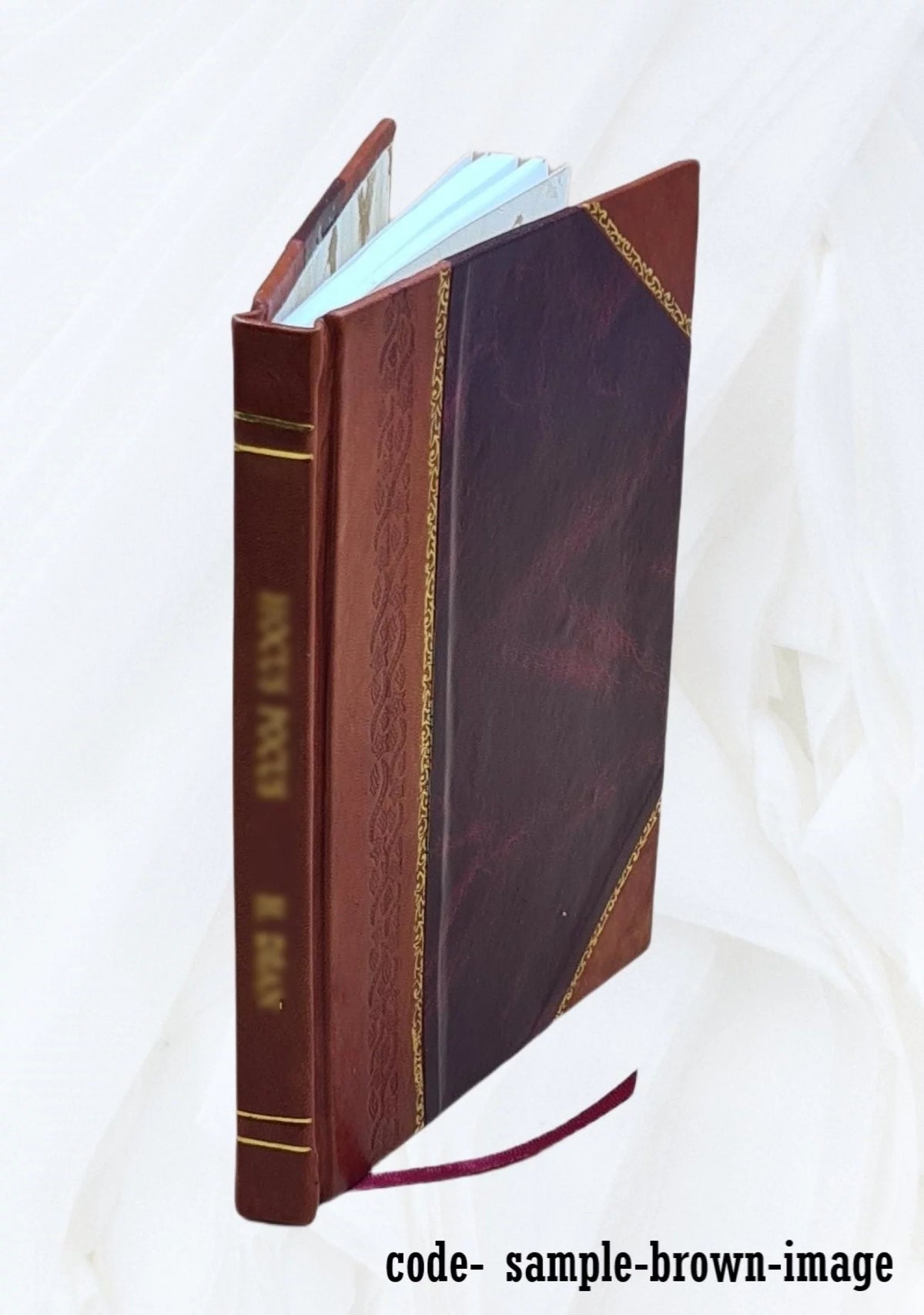 1865 Leather Bound Book J735055