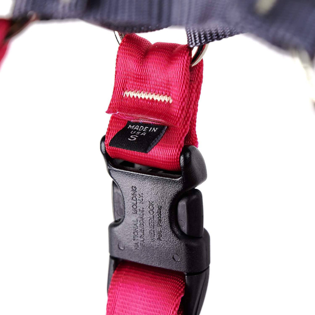 No-Pull Harness Xs / Raspberry T508992