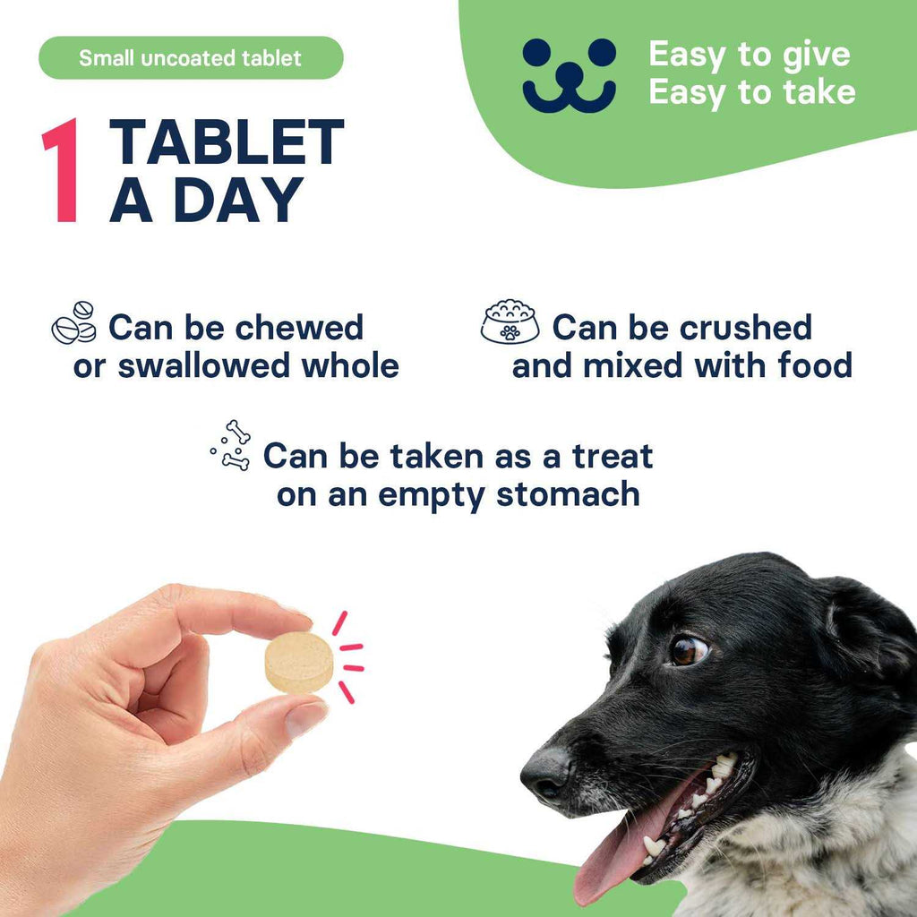 Dogs and 30 tablets Pet Supplies V8639