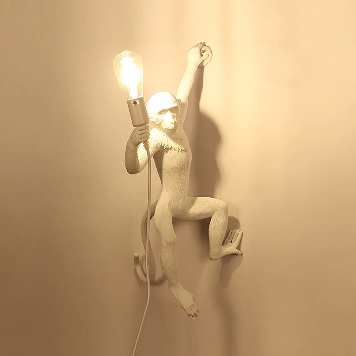 White Resin Plug in Wall Sconce Lamp B723232