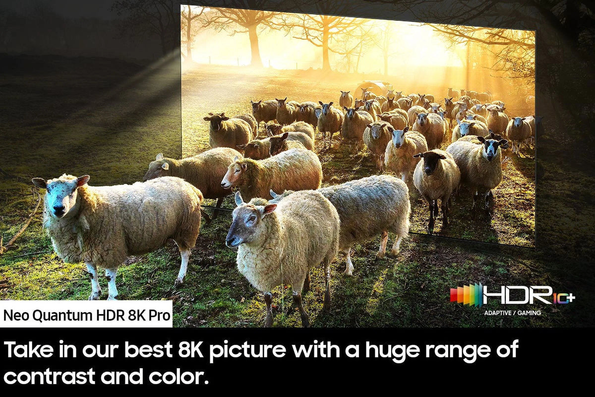 75" 8K Neo QLED Smart TV H479022