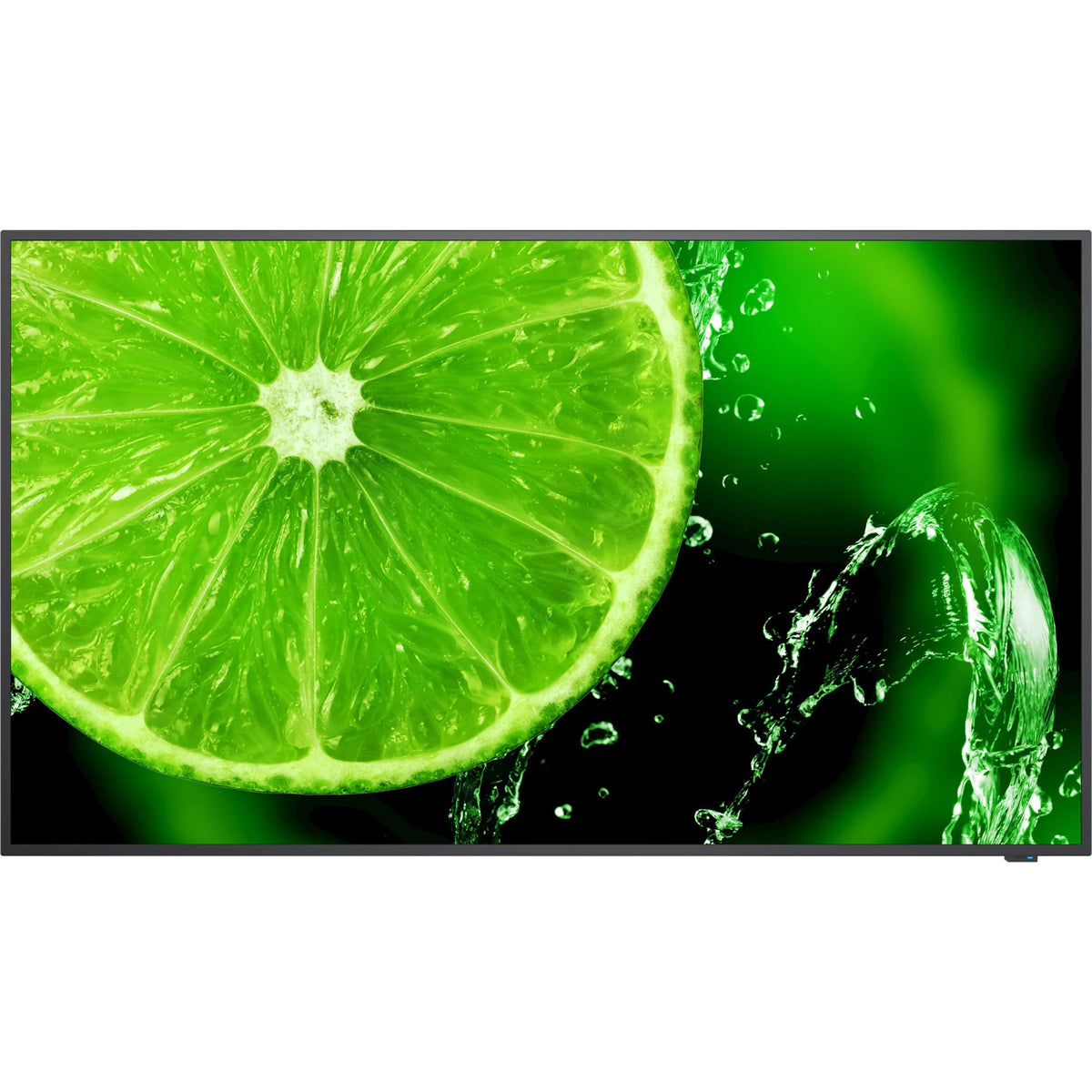 65" 4K UHD Display with Built-in Speaker C10118