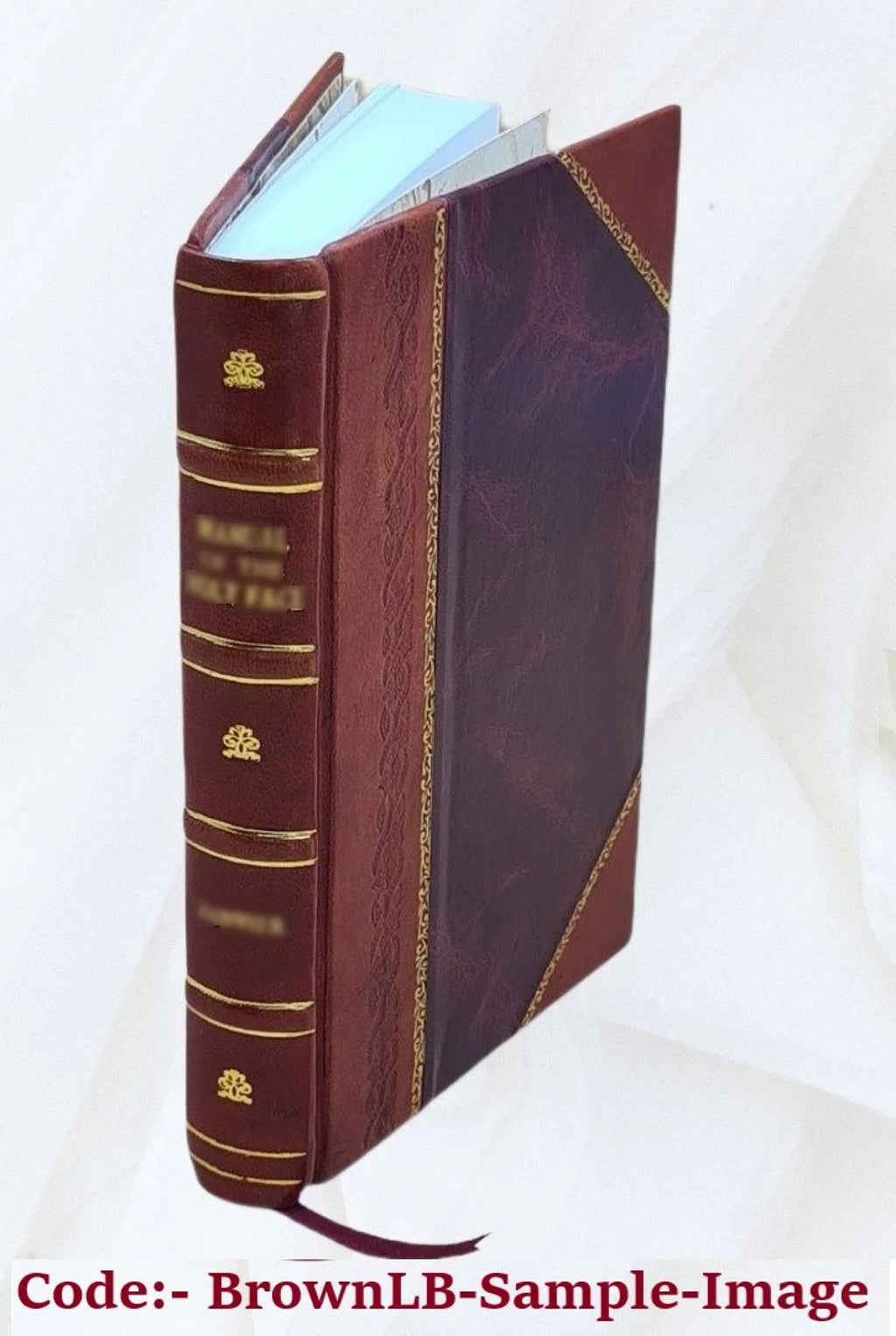 Leather Bound Book R309674