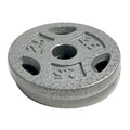 10 lb Standard 1 Weight Plate Set (2.5 lb x 4) A55308