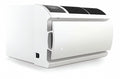 16,000 BtuH 230VAC Air Conditioner R36077