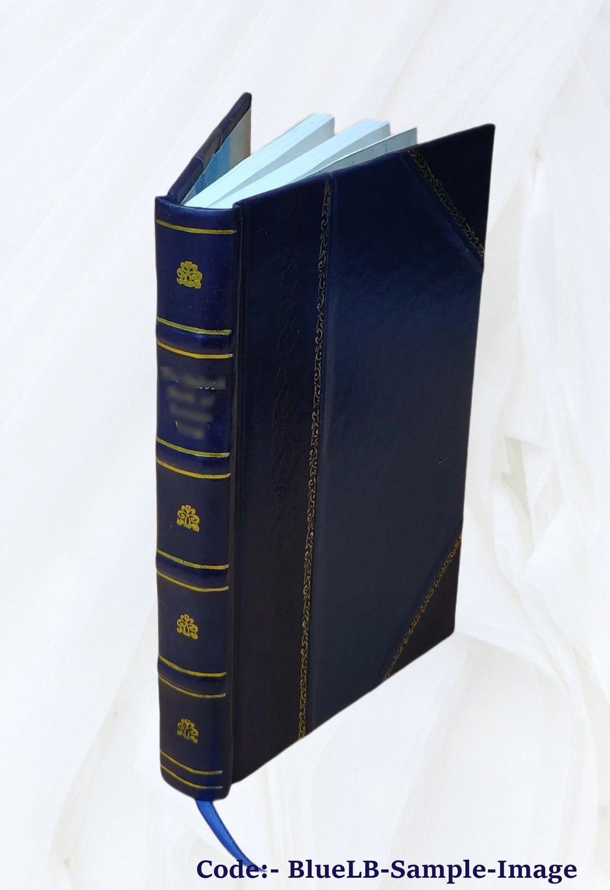 Leather Bound Book F322749