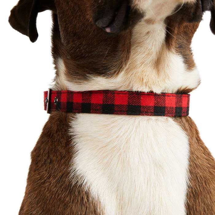 Buffalo Checkered Dog Collar D258