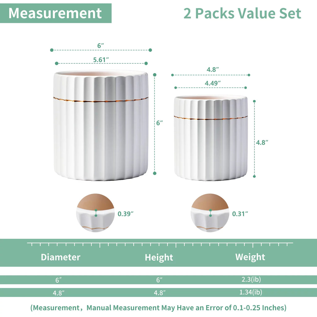 2 Pack White Ceramic Plant Pots with Drainage Hole T408
