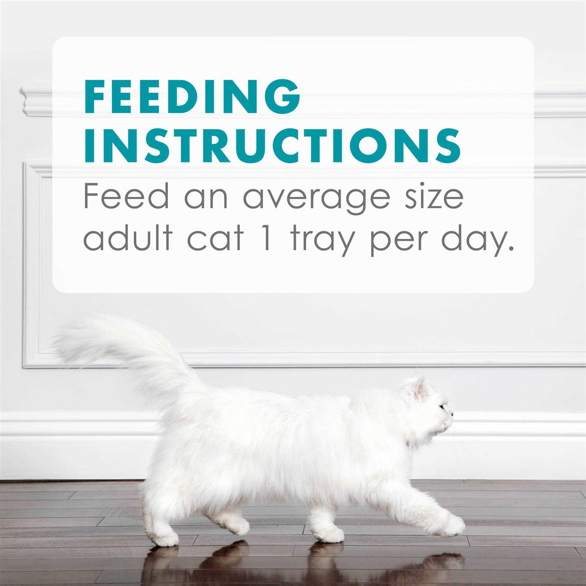 Tuna Wet Cat Food O143031