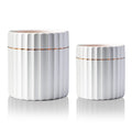 2 Pack White Ceramic Plant Pots with Drainage Hole T408
