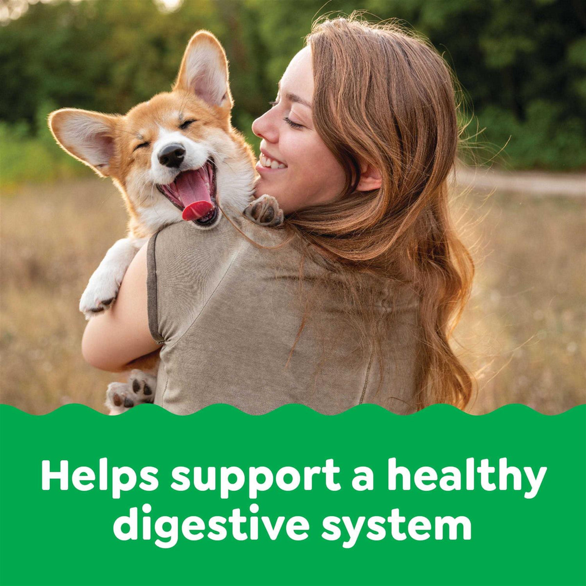 Probiotics for Dogs Chicken Flavor Q321