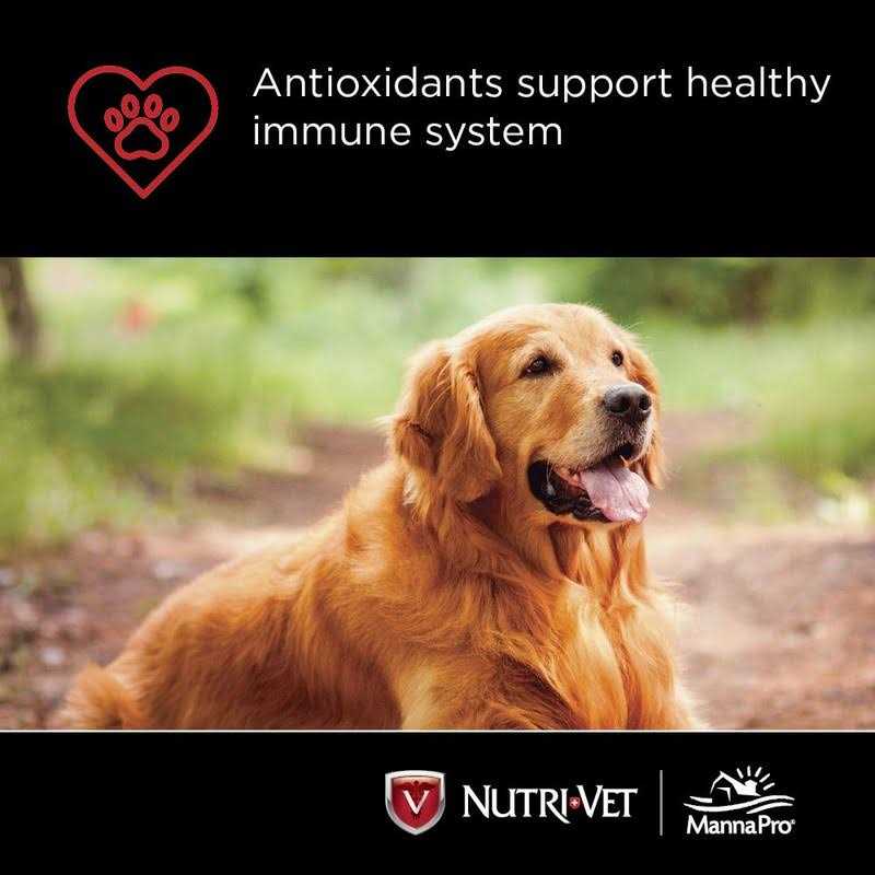 Chewables for Dogs I1740