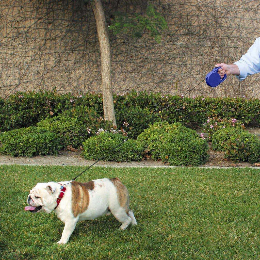 24 ft. Retractable Dog Leash K816