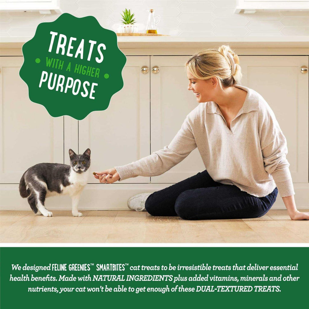 Cat Treats Skin & Fur O393191