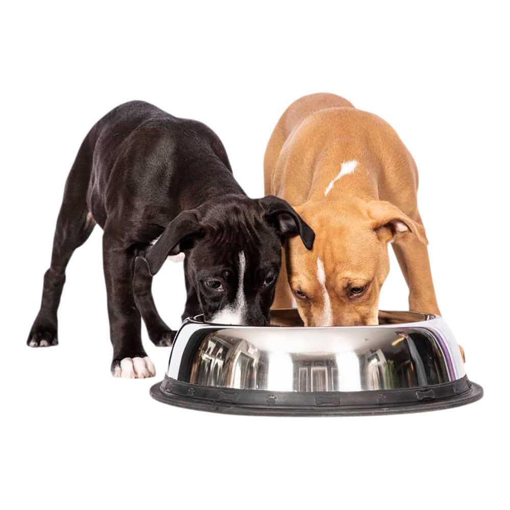 Stainless Steel Bowl U870