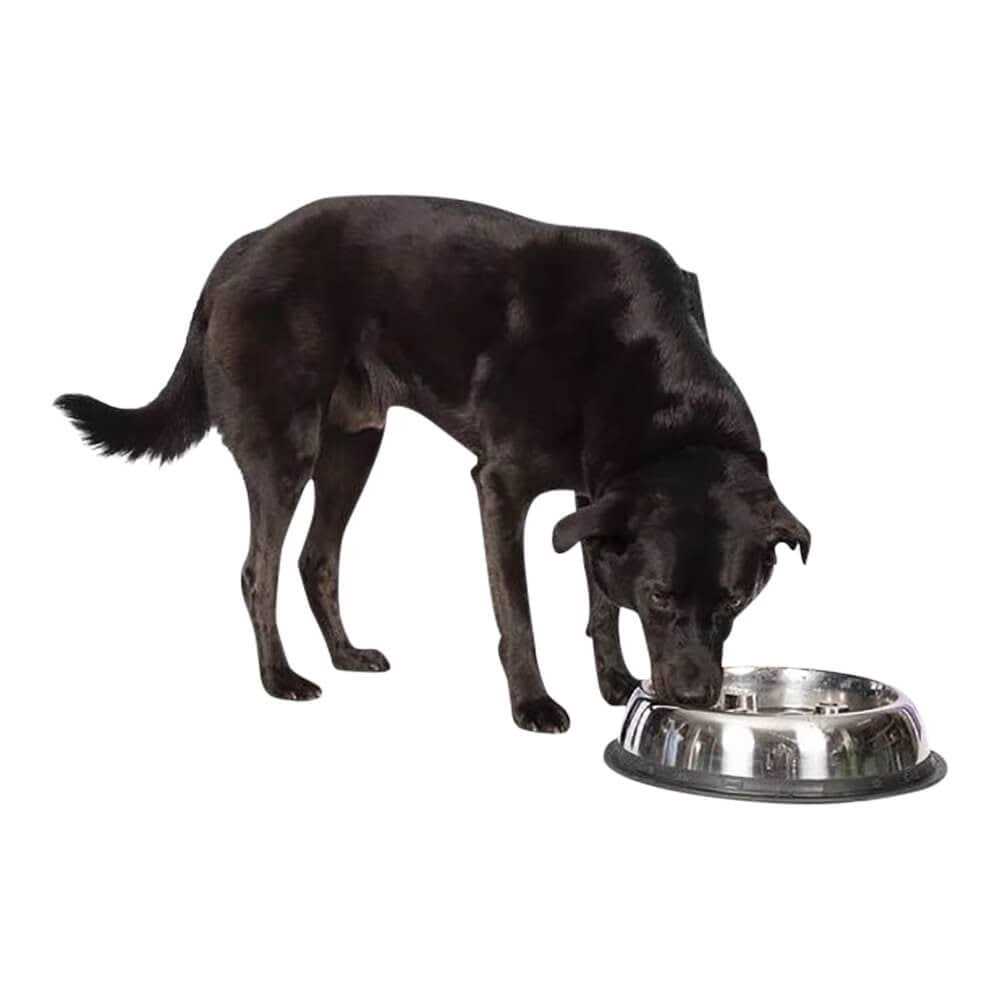 Stainless Steel Bowl U870