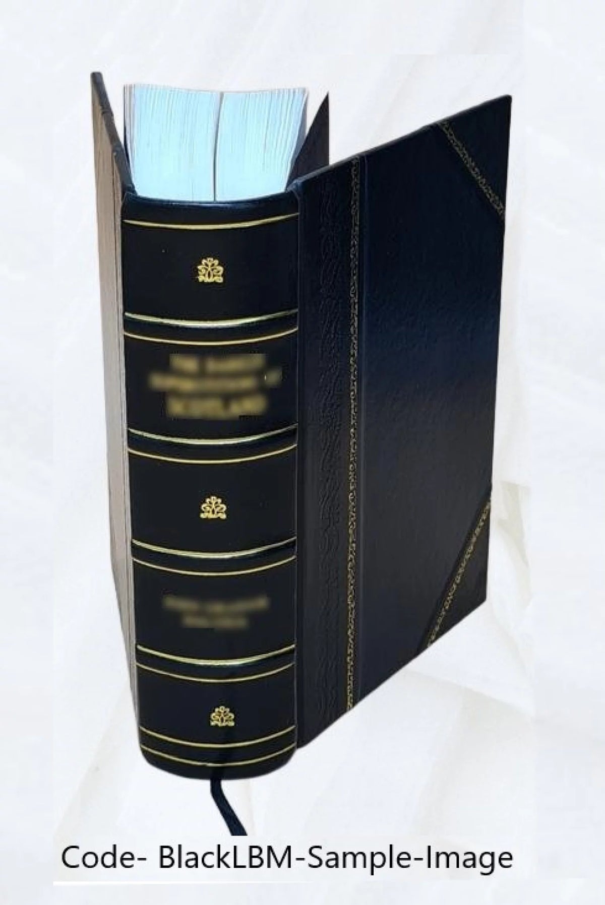 Leather Bound S285