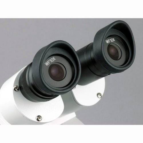 Binocular Stereo Microscope, 10X-80X U2040