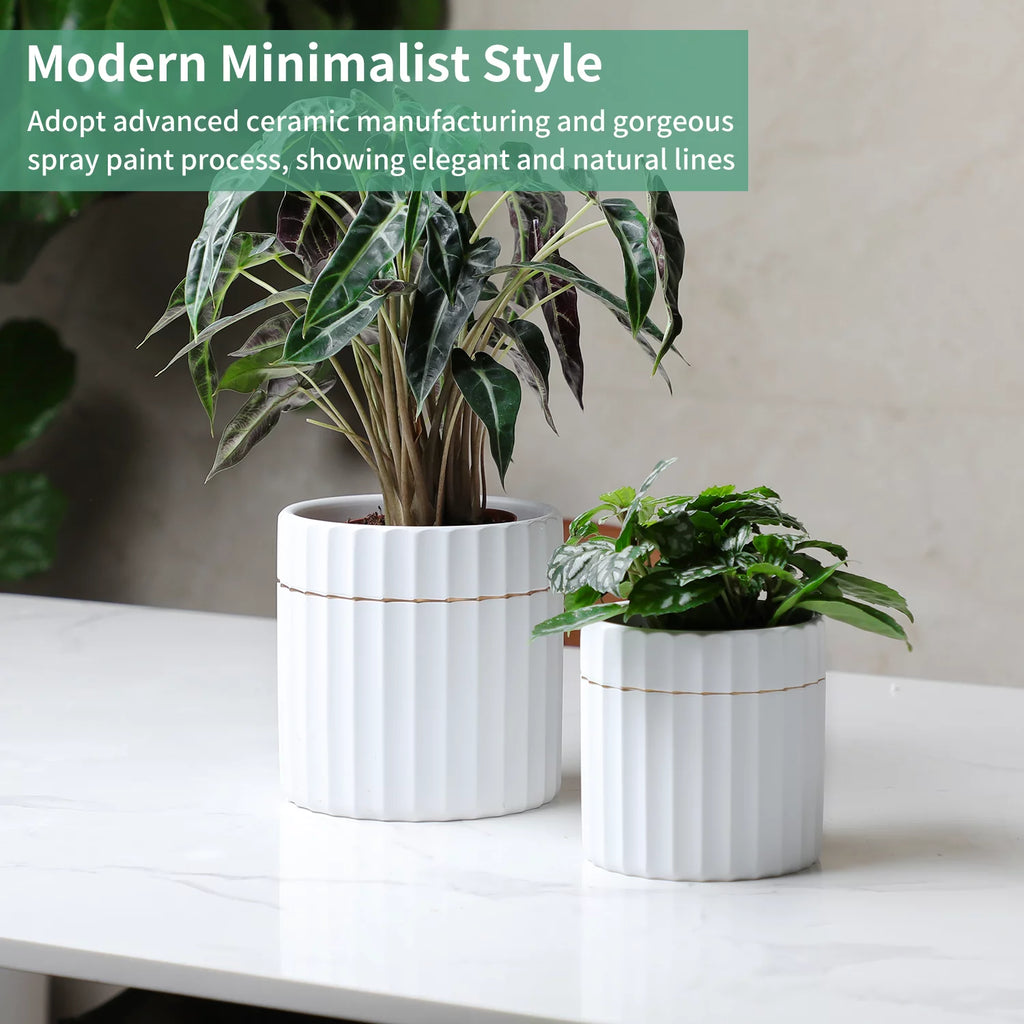 2 Pack White Ceramic Plant Pots with Drainage Hole T408