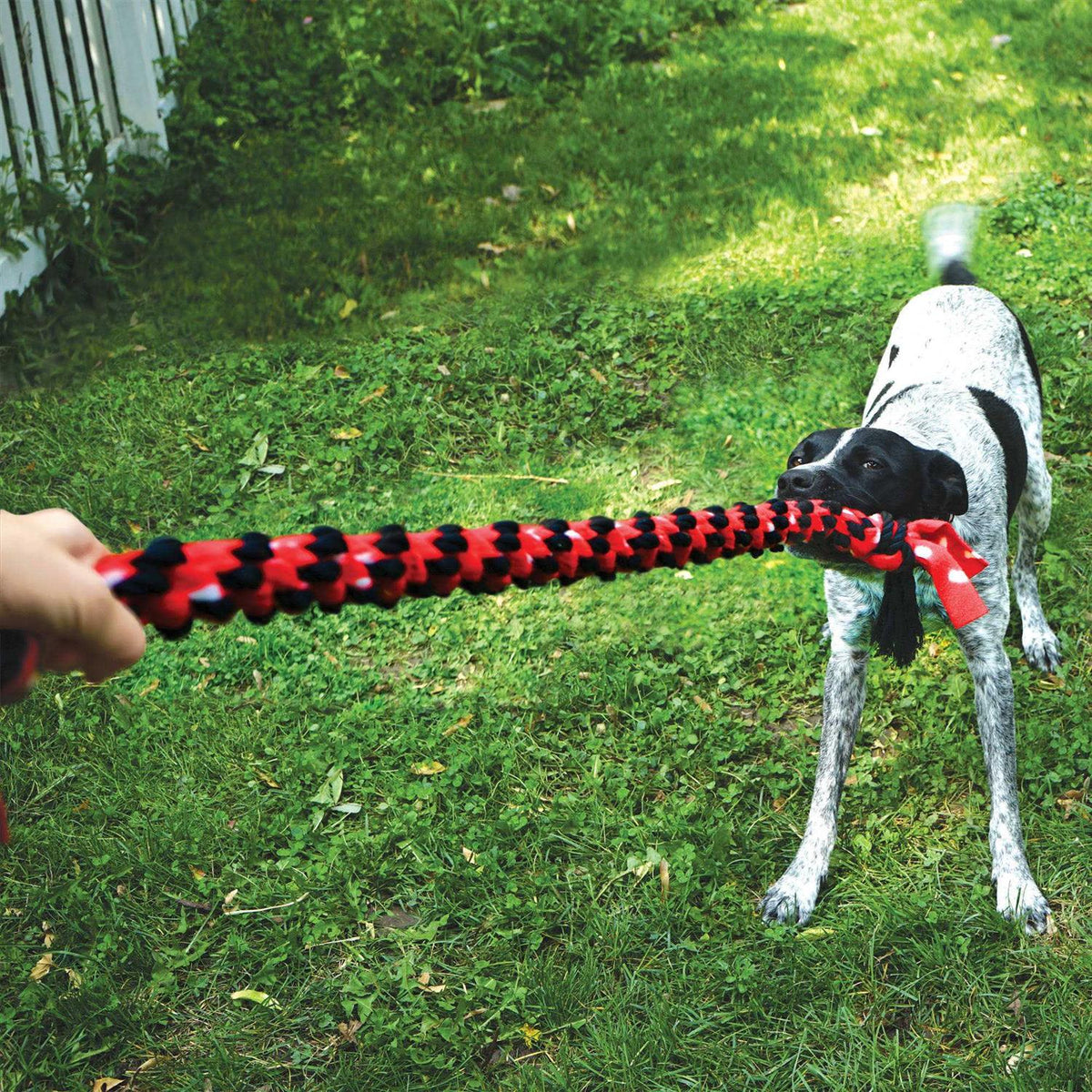 Rope Dog Toy T5526