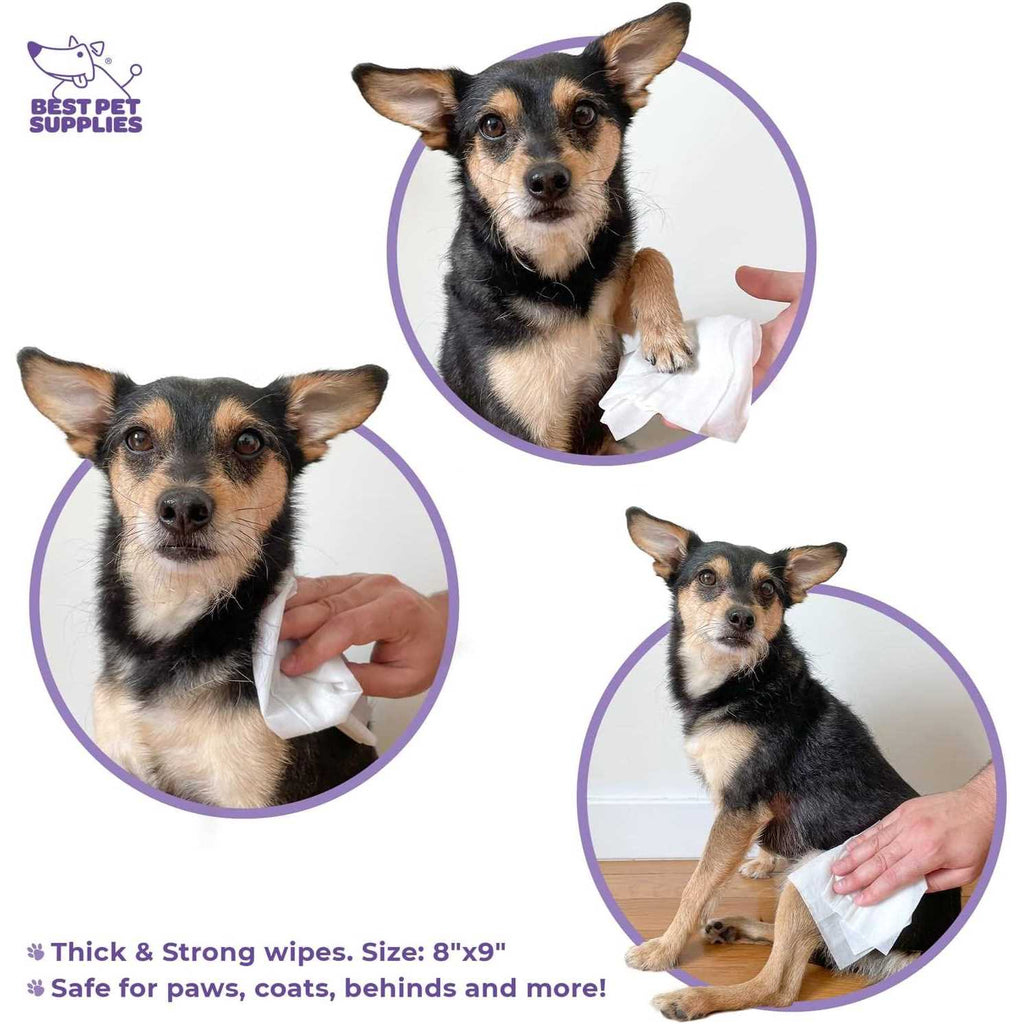 Pet Grooming Wipes for Dogs & Cats T866512