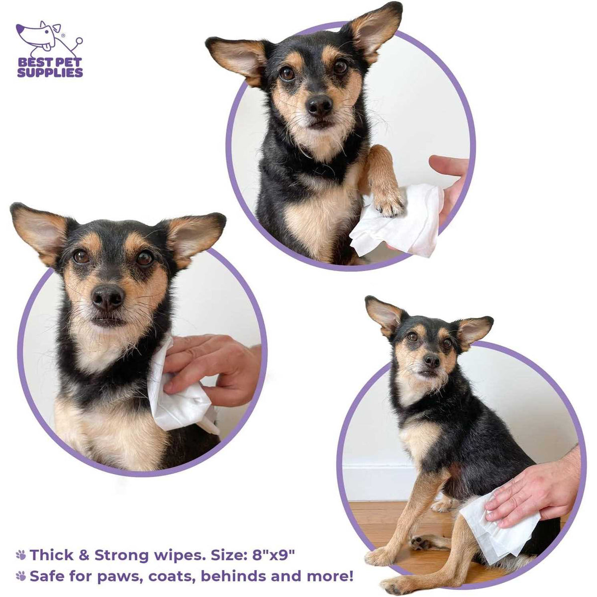 Pet Grooming Wipes for Dogs & Cats T866512