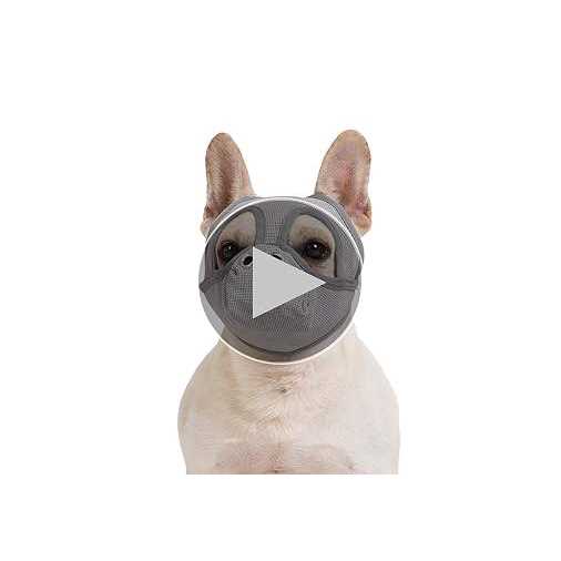 Short Snout Dog Muzzle Adjustable Breathable Mesh P4803