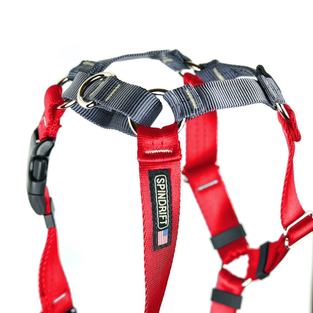 No-Pull Harness Xs / Raspberry T508992