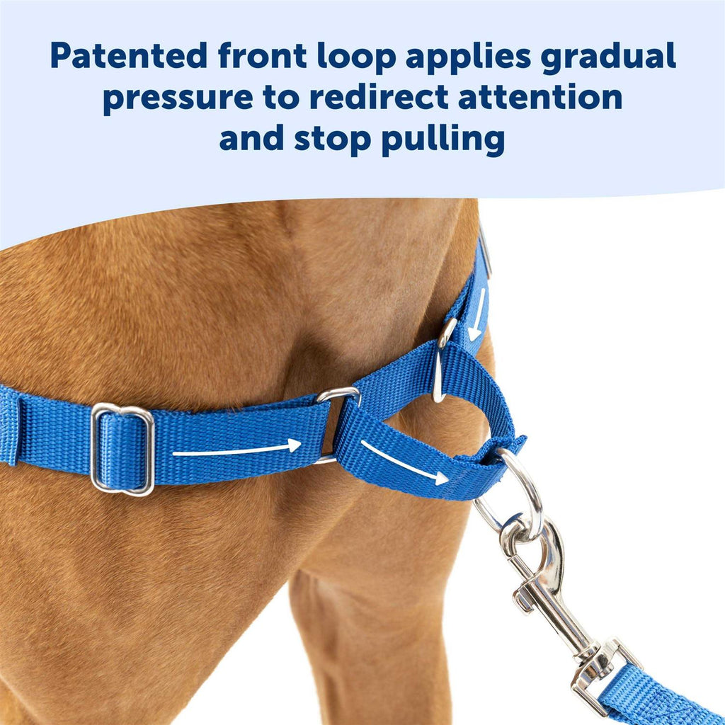 Easy Walk Dog Harness U3256