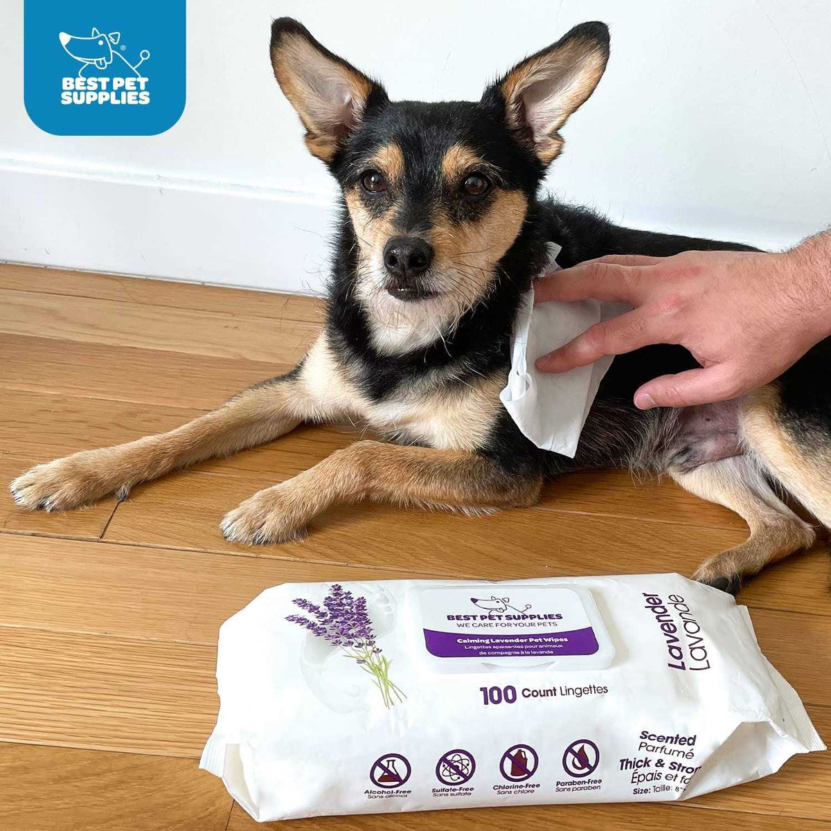 Pet Grooming Wipes for Dogs & Cats T866512