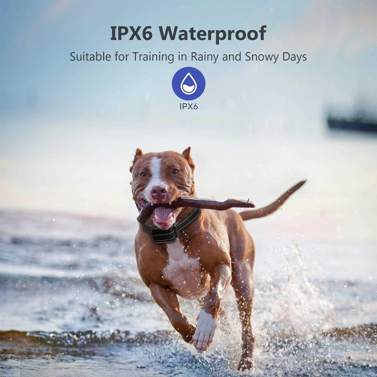 Waterproof Dog Bark Collar Y142628