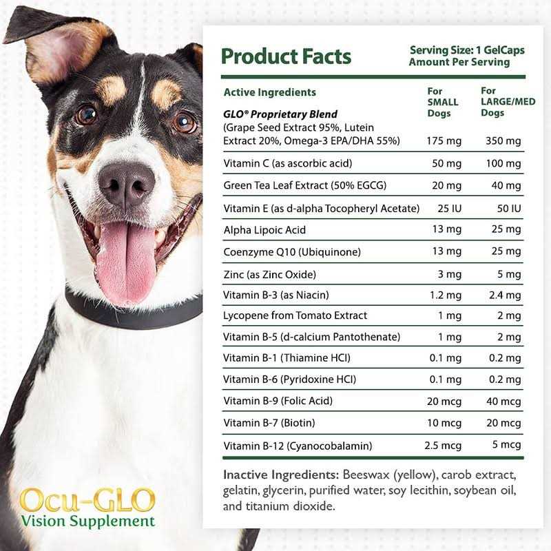 Vision Supplement for Small Dogs X82273