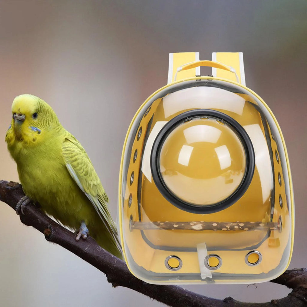 Green Yellow Transparent Bird Carrier with Perch P591439