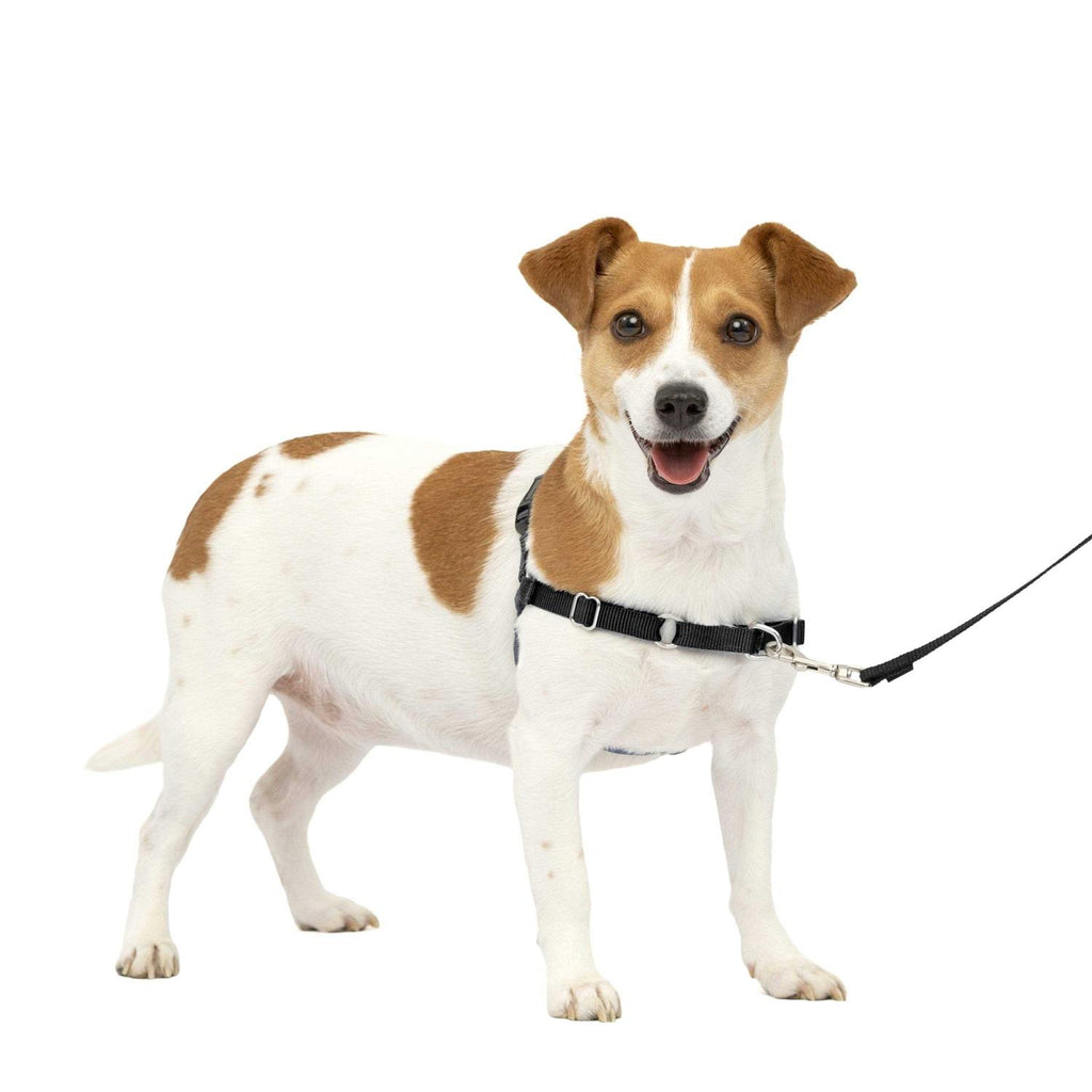 Easy Walk Dog Harness U3256