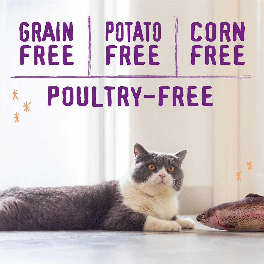 Cage-Free Recipe Dry Cat Food P322928