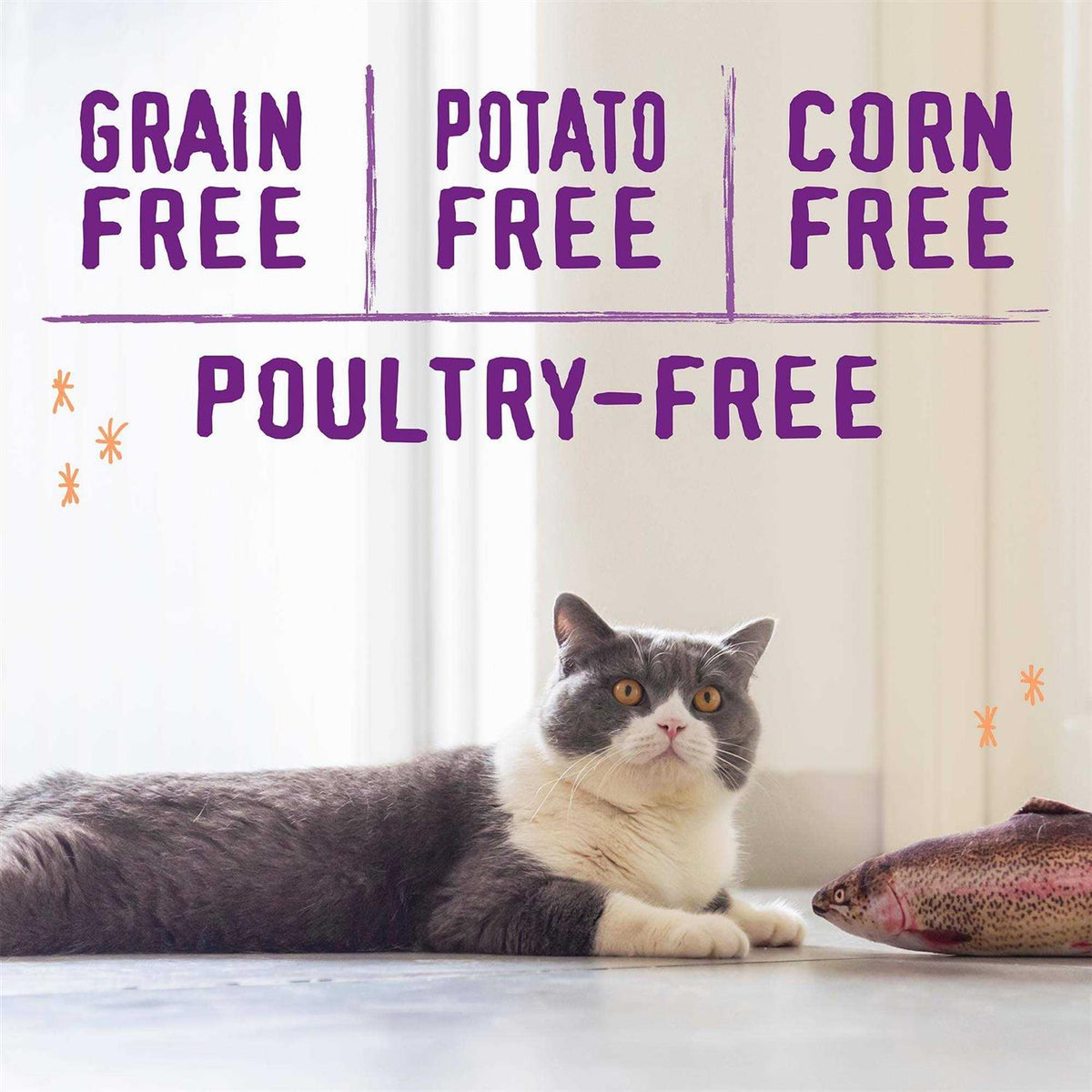 Cage-Free Recipe Dry Cat Food P322928