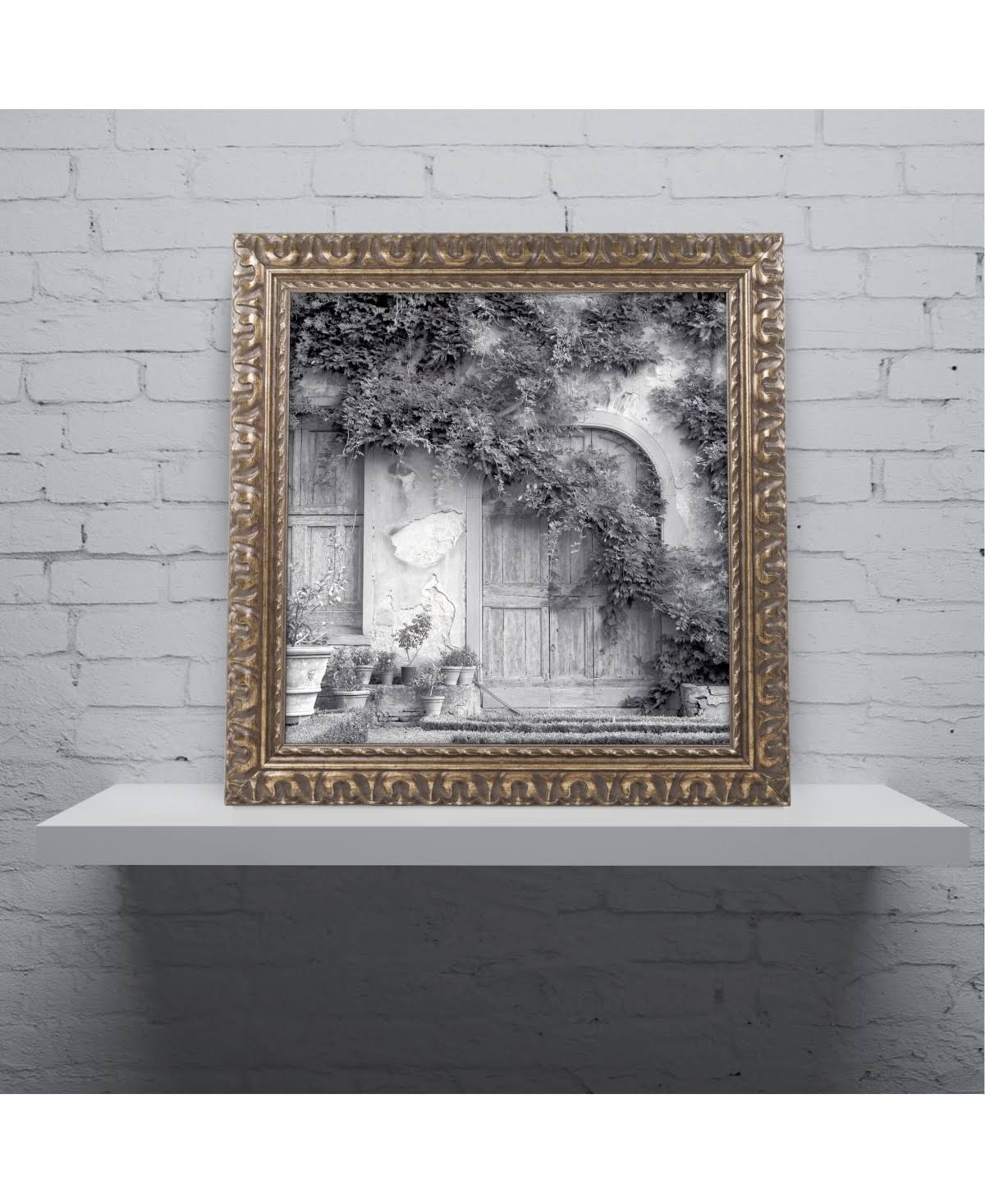 Framed Art E68281
