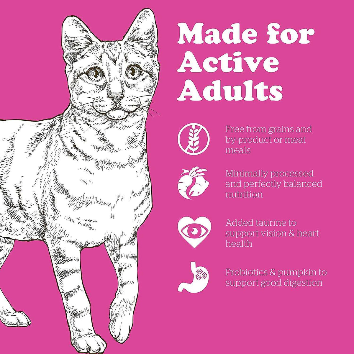 Grain-Free Adult Dry Cat Food A6318