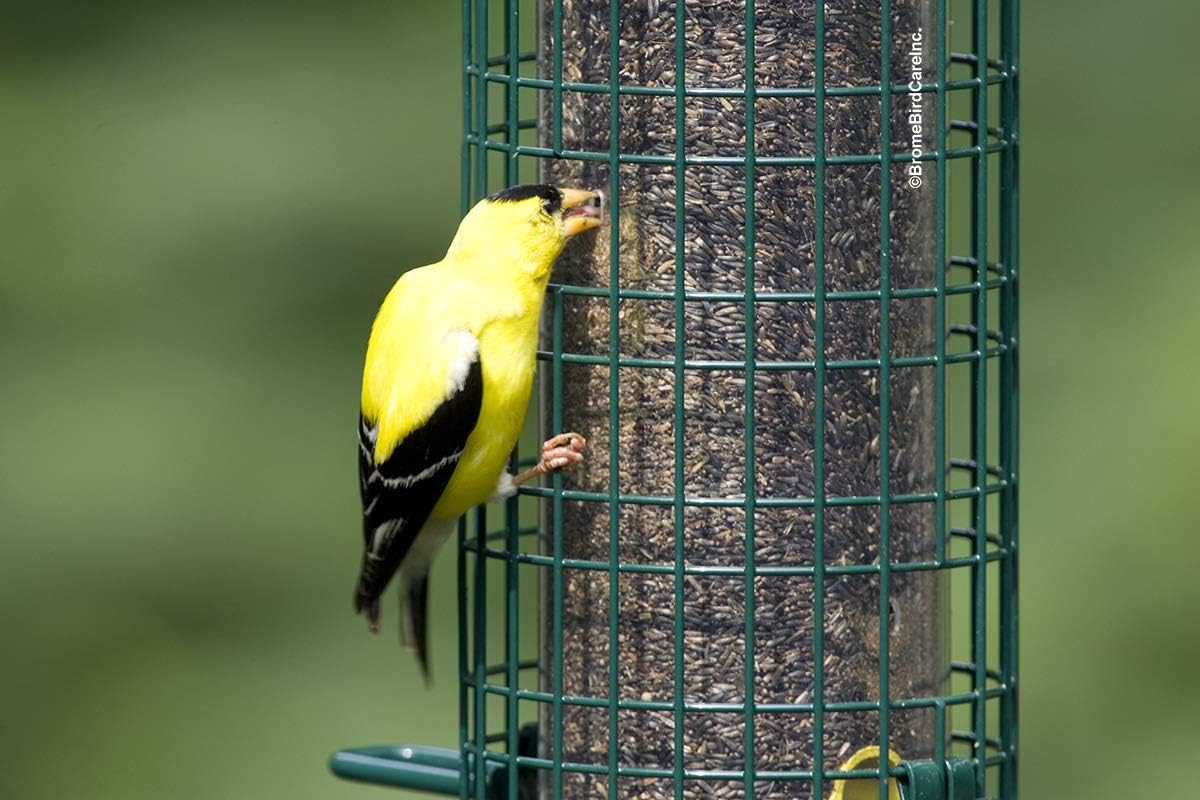 Squirrel-proof Finch Bird Feeder with 4 Metal Perches & 8 Feeding Ports, 2.4-pound Thistle Seed Capacity, Pack of 2 I4887