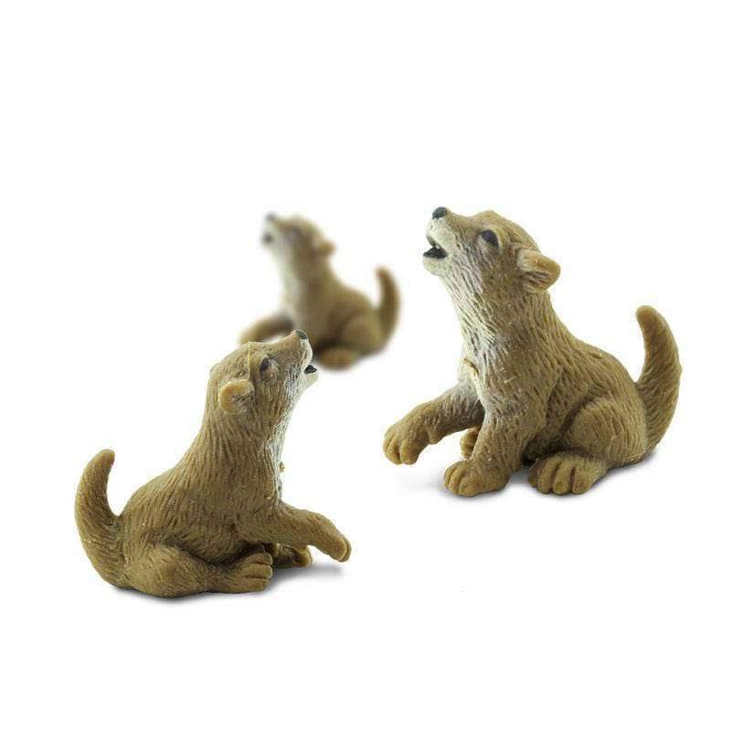 Raptors R159369