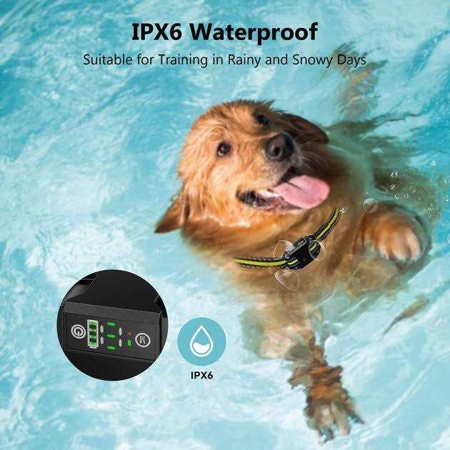 Waterproof Dog Bark Collar Y142628