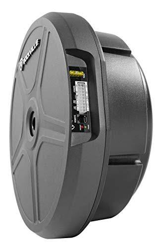RockGhost Active Powered 8x22 Hidden Car Subwoofer for Full Size Spare Tire M2341