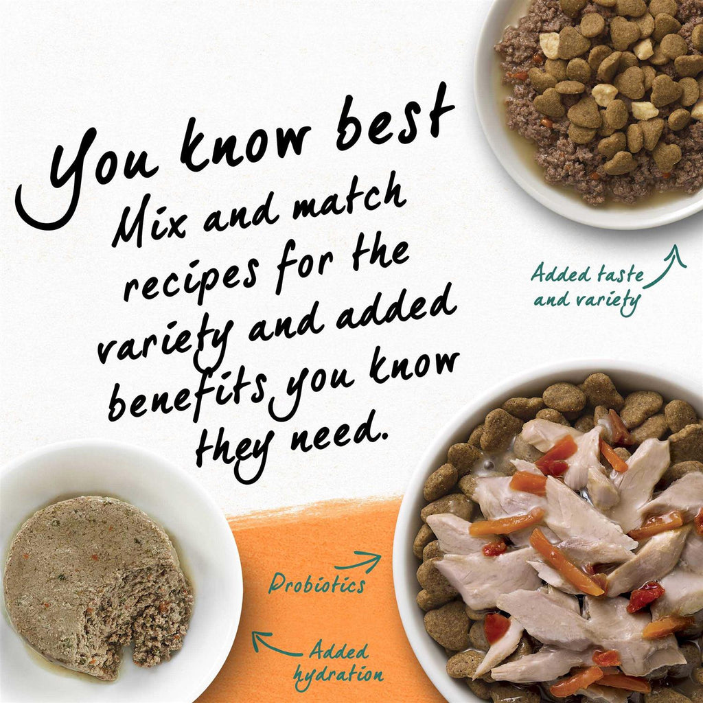 Grain Free White Meat Chicken & Egg Recipe Natural Dry Cat Food U82828