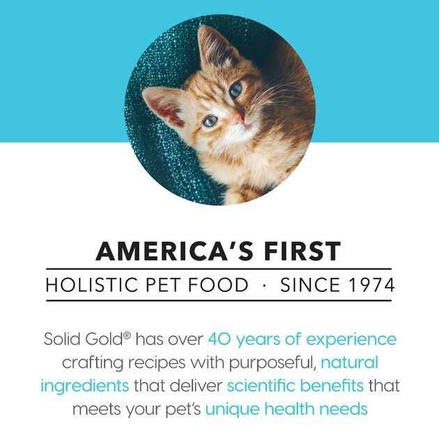 Solid Gold Canned Cat Food Five Oceans Tuna Recipe in Gravy Q78035