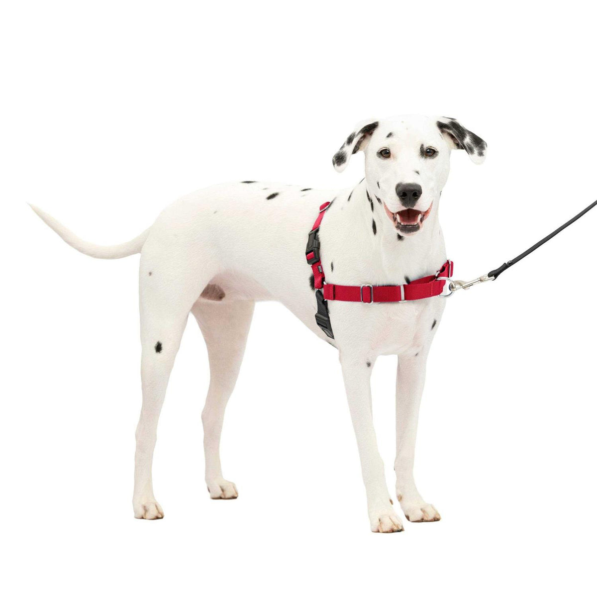 Easy Walk Dog Harness U3256