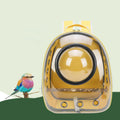 Green Yellow Transparent Bird Carrier with Perch P591439