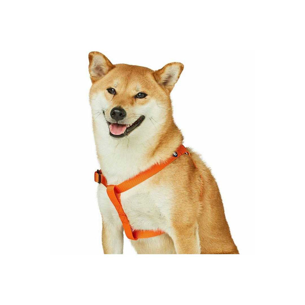 Classic Solid Nylon Step-In Dog Harness Y3230