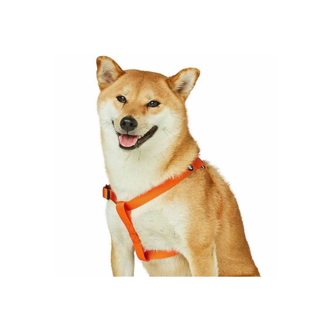 Classic Solid Nylon Step-In Dog Harness Y3230